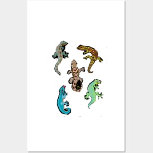 Endangered Species Gecko Medley Posters and Art